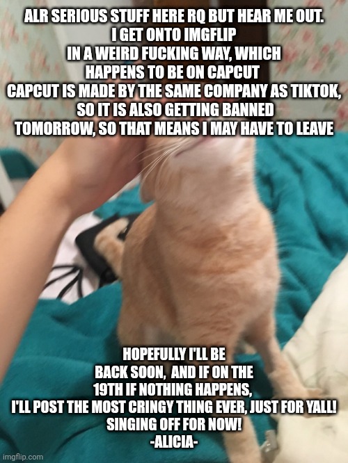 Hopefully I'll see ya'll tomorrow! | ALR SERIOUS STUFF HERE RQ BUT HEAR ME OUT.
I GET ONTO IMGFLIP IN A WEIRD FUCKING WAY, WHICH HAPPENS TO BE ON CAPCUT 
CAPCUT IS MADE BY THE SAME COMPANY AS TIKTOK,  SO IT IS ALSO GETTING BANNED TOMORROW, SO THAT MEANS I MAY HAVE TO LEAVE; HOPEFULLY I'LL BE BACK SOON,  AND IF ON THE 19TH IF NOTHING HAPPENS,  I'LL POST THE MOST CRINGY THING EVER, JUST FOR YALL!
SINGING OFF FOR NOW!
-ALICIA- | image tagged in goodbye | made w/ Imgflip meme maker