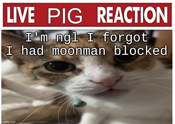 woah | I'm ngl I forgot I had moonman blocked | image tagged in woah | made w/ Imgflip meme maker