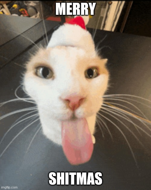 It's no longer shitmas | MERRY; SHITMAS | image tagged in cat,christmas,car,vrmmm,silly | made w/ Imgflip meme maker