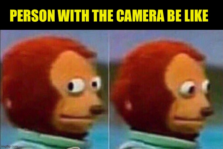 Monkey looking away | PERSON WITH THE CAMERA BE LIKE | image tagged in monkey looking away | made w/ Imgflip meme maker