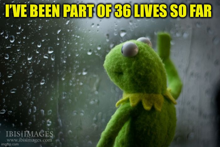 kermit window | I’VE BEEN PART OF 36 LIVES SO FAR | image tagged in kermit window | made w/ Imgflip meme maker