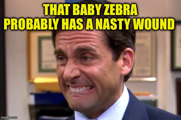 Cringe | THAT BABY ZEBRA PROBABLY HAS A NASTY WOUND | image tagged in cringe | made w/ Imgflip meme maker