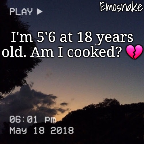 Emosnake's dreamy temp | I'm 5'6 at 18 years old. Am I cooked? 💔 | image tagged in emosnake's dreamy temp | made w/ Imgflip meme maker