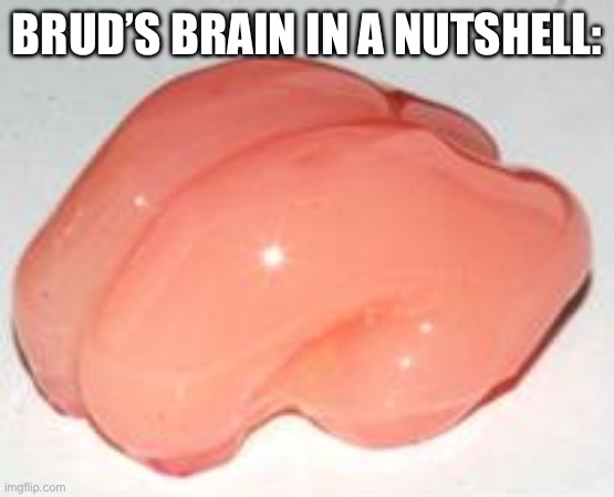 Smooth n smol | BRUD’S BRAIN IN A NUTSHELL: | image tagged in smooth brain | made w/ Imgflip meme maker