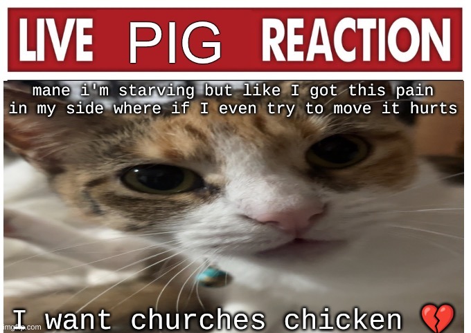 woah | mane i'm starving but like I got this pain in my side where if I even try to move it hurts; I want churches chicken 💔 | image tagged in woah | made w/ Imgflip meme maker