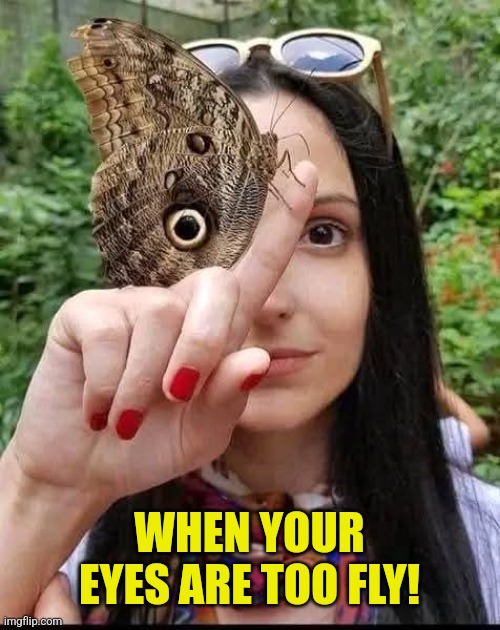 WHEN YOUR EYES ARE TOO FLY! | made w/ Imgflip meme maker