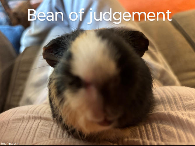 you have been judged | image tagged in bean of judgement,beans,mr bean,funny,stare,judgement | made w/ Imgflip meme maker