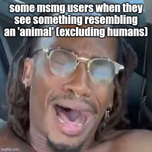 . | some msmg users when they see something resembling an 'animal' (excluding humans) | image tagged in ambatukam | made w/ Imgflip meme maker