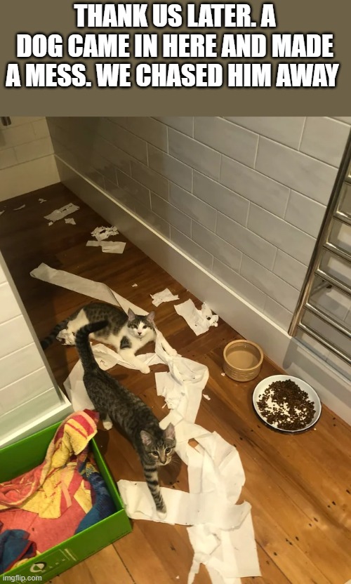 memes by Brad - Cats chased messy dog away and want thanks - humor - | THANK US LATER. A DOG CAME IN HERE AND MADE A MESS. WE CHASED HIM AWAY | image tagged in cats,funny,kittens,dogs,humor,messy | made w/ Imgflip meme maker