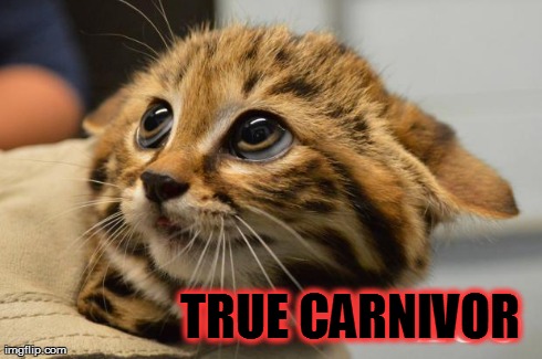 TRUE CARNIVOR | image tagged in true carnivor | made w/ Imgflip meme maker