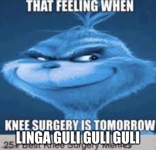LIN GANG GULI GULI GULI GULI | LINGA GULI GULI GULI | image tagged in that feeling when knee surgery is tomorrow | made w/ Imgflip meme maker