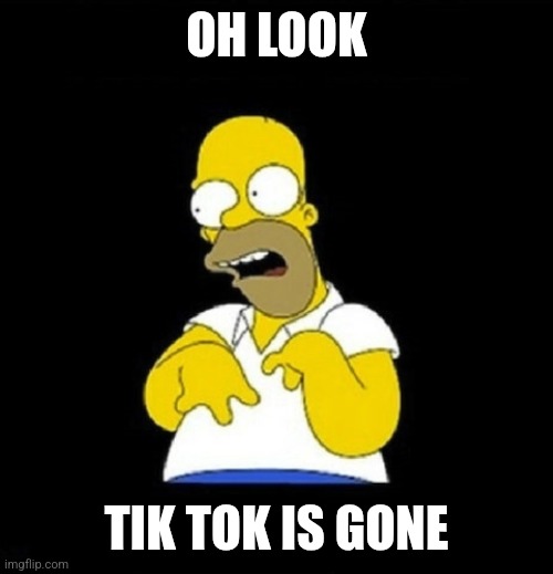 Oh look at me! I do tiktok | OH LOOK; TIK TOK IS GONE | image tagged in oh look at me i do tiktok | made w/ Imgflip meme maker