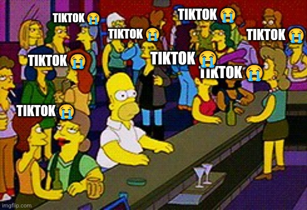 Bye tiktok | TIKTOK 😭; TIKTOK 😭; TIKTOK 😭; TIKTOK 😭; TIKTOK 😭; TIKTOK 😭; TIKTOK 😭; TIKTOK 😭 | image tagged in homer bar | made w/ Imgflip meme maker