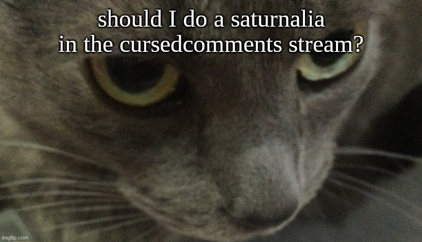 Sweetie | should I do a saturnalia in the cursedcomments stream? | image tagged in sweetie | made w/ Imgflip meme maker