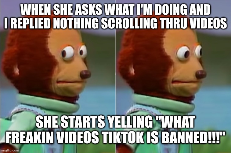 puppet Monkey looking away | WHEN SHE ASKS WHAT I'M DOING AND I REPLIED NOTHING SCROLLING THRU VIDEOS; SHE STARTS YELLING "WHAT FREAKIN VIDEOS TIKTOK IS BANNED!!!" | image tagged in puppet monkey looking away | made w/ Imgflip meme maker