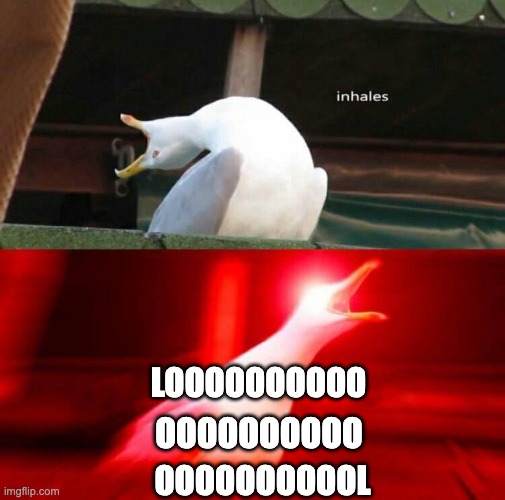 Inhaling Seagull  | LOOOOOOOOOO; OOOOOOOOOO; OOOOOOOOOOL | image tagged in inhaling seagull | made w/ Imgflip meme maker