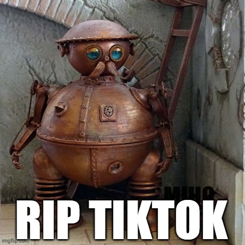 rip tiktok | RIP TIKTOK; MIHO | image tagged in tiktok | made w/ Imgflip meme maker