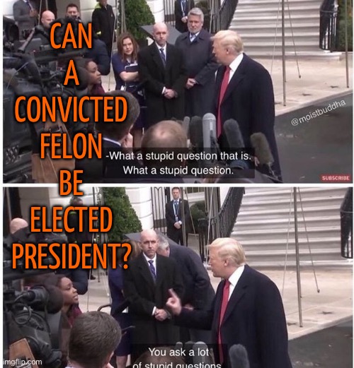 Can A Convicted Felon Be Elected President? | CAN
A
CONVICTED
FELON
BE
ELECTED
PRESIDENT? | image tagged in trump stupid question,donald trump,president trump,trump is a moron,trump is an asshole,trump inauguration | made w/ Imgflip meme maker