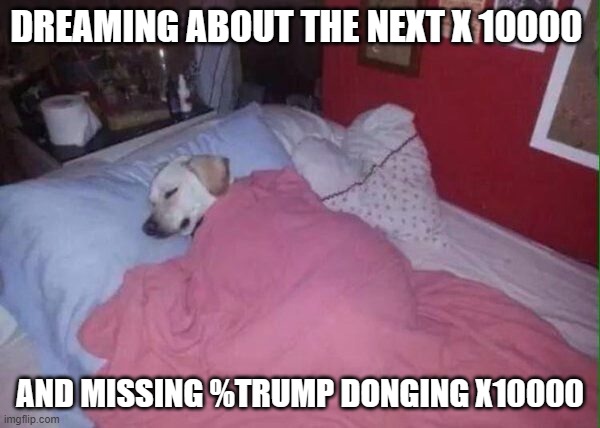 Trump coin | DREAMING ABOUT THE NEXT X 10000; AND MISSING %TRUMP DONGING X10000 | image tagged in memecoin | made w/ Imgflip meme maker