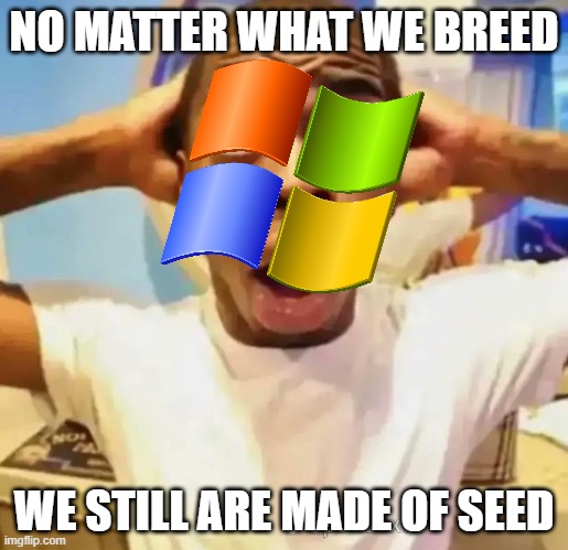 oh crap | NO MATTER WHAT WE BREED; WE STILL ARE MADE OF SEED | image tagged in shocked black guy | made w/ Imgflip meme maker