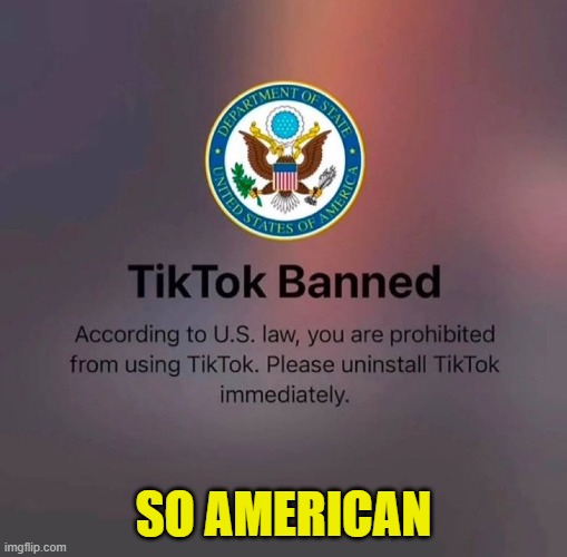 Land of the free | SO AMERICAN | image tagged in america,tiktok,tik tok,freedom,freedom of speech,banned | made w/ Imgflip meme maker