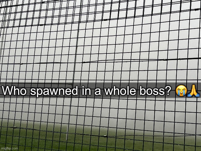 Who spawned in a whole boss? 😭🙏 | made w/ Imgflip meme maker