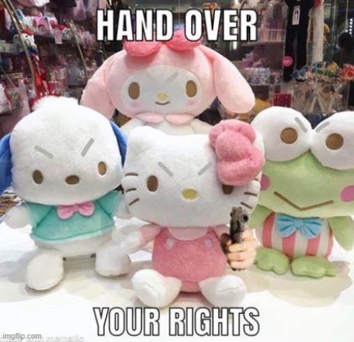 HAND OVER YOUR RIGHTS!!!11!1!!! | image tagged in hand over your rights 11 1 | made w/ Imgflip meme maker