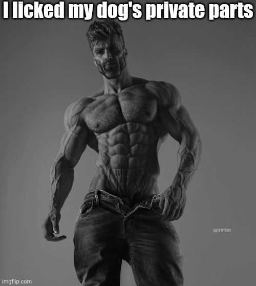 giga chad | I licked my dog's private parts | image tagged in giga chad | made w/ Imgflip meme maker