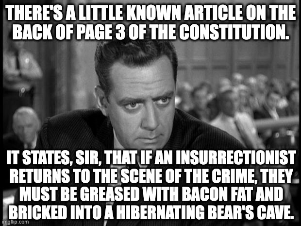 Perry mason stare | THERE'S A LITTLE KNOWN ARTICLE ON THE
BACK OF PAGE 3 OF THE CONSTITUTION. IT STATES, SIR, THAT IF AN INSURRECTIONIST
RETURNS TO THE SCENE OF | image tagged in perry mason stare | made w/ Imgflip meme maker