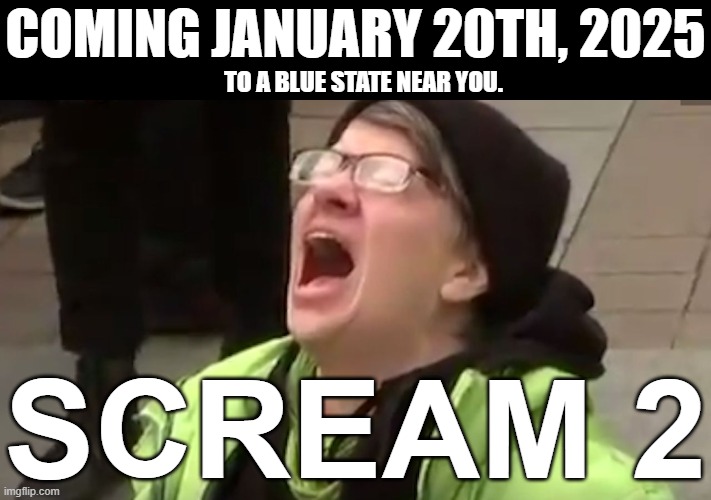 Screaming Liberal  | COMING JANUARY 20TH, 2025; TO A BLUE STATE NEAR YOU. SCREAM 2 | image tagged in screaming liberal | made w/ Imgflip meme maker