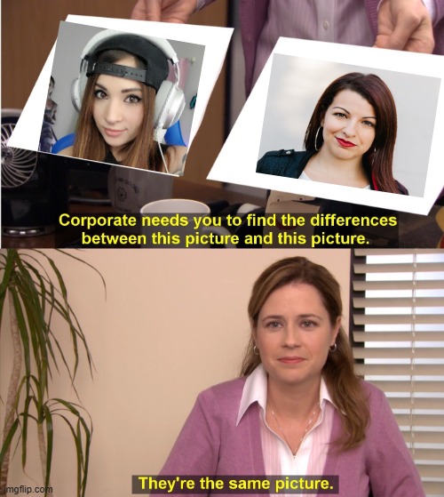 They're The Same Picture | image tagged in memes,they're the same picture,anita,melonie,woke,gamers | made w/ Imgflip meme maker