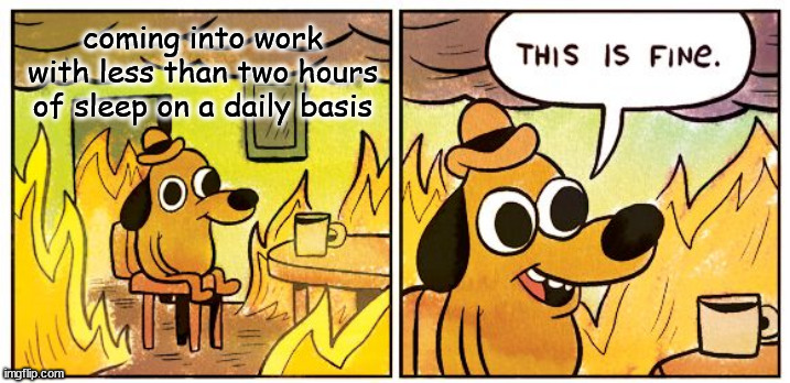 Insomnia struggles | coming into work with less than two hours of sleep on a daily basis | image tagged in memes,this is fine,insomnia,work memes,work | made w/ Imgflip meme maker