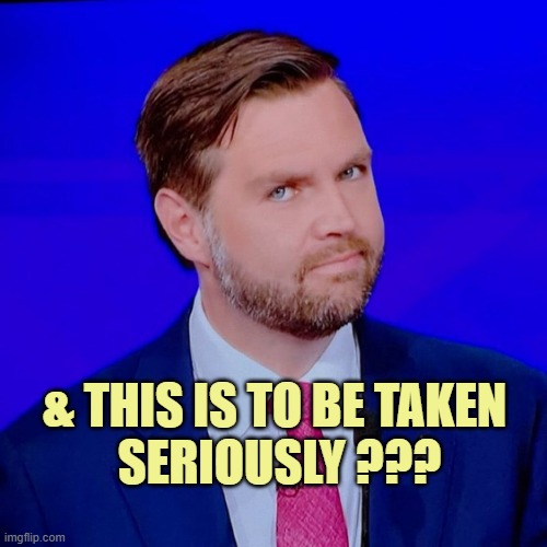 J. D. Vance Look | & THIS IS TO BE TAKEN 
SERIOUSLY ??? | image tagged in j d vance look | made w/ Imgflip meme maker