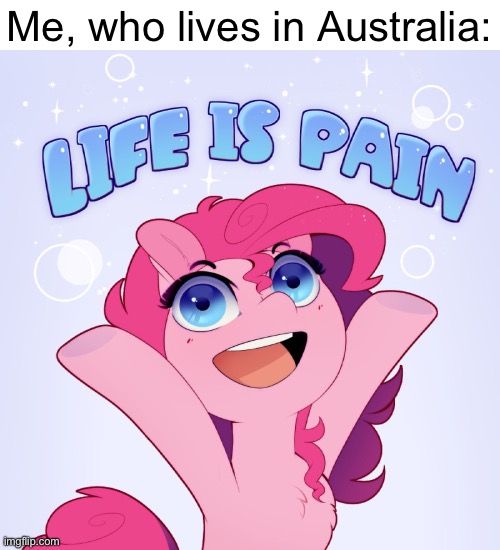 Me, who lives in Australia: | image tagged in life is pain | made w/ Imgflip meme maker