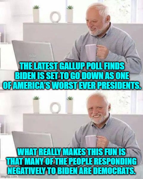 Yeah . . . when a Dem Party president has lost the support of his own constituents you can be certain that he's stink on a stick | THE LATEST GALLUP POLL FINDS BIDEN IS SET TO GO DOWN AS ONE OF AMERICA’S WORST EVER PRESIDENTS. WHAT REALLY MAKES THIS FUN IS THAT MANY OF THE PEOPLE RESPONDING NEGATIVELY TO BIDEN ARE DEMOCRATS. | image tagged in hide the pain harold | made w/ Imgflip meme maker