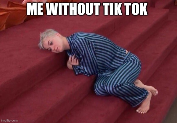 me without tik tok | ME WITHOUT TIK TOK | image tagged in tiktok | made w/ Imgflip meme maker