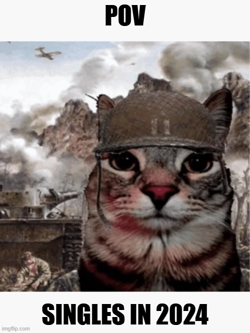 WW2 Cat | POV; SINGLES IN 2024 | image tagged in ww2 cat,single life | made w/ Imgflip meme maker