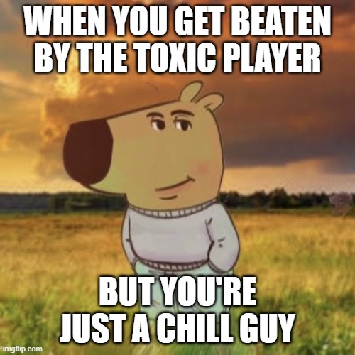 Chill guy | WHEN YOU GET BEATEN BY THE TOXIC PLAYER; BUT YOU'RE JUST A CHILL GUY | image tagged in chill guy,memes | made w/ Imgflip meme maker