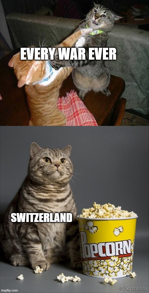 Cat watching other cats fight | EVERY WAR EVER; SWITZERLAND | image tagged in cat watching other cats fight,memes | made w/ Imgflip meme maker