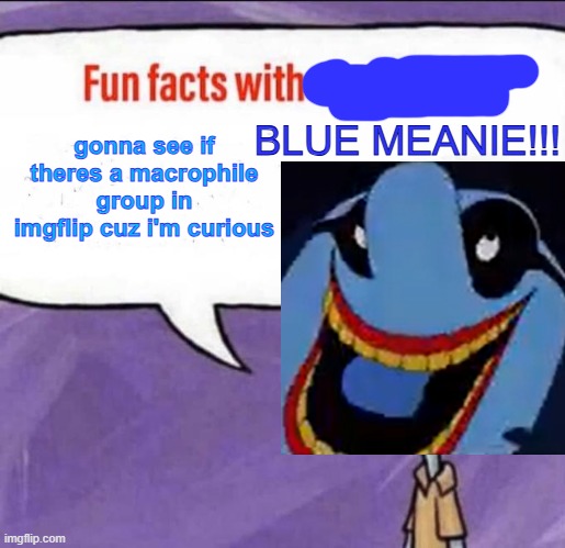 curiosity oof'ed the cat | gonna see if theres a macrophile group in imgflip cuz i'm curious | image tagged in blue meanie fun fact | made w/ Imgflip meme maker