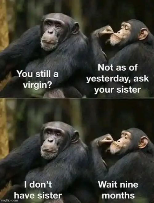 oh mama | image tagged in rare,insults | made w/ Imgflip meme maker