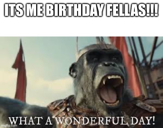 15 years on this planet | ITS ME BIRTHDAY FELLAS!!! | image tagged in what a wonderful day | made w/ Imgflip meme maker