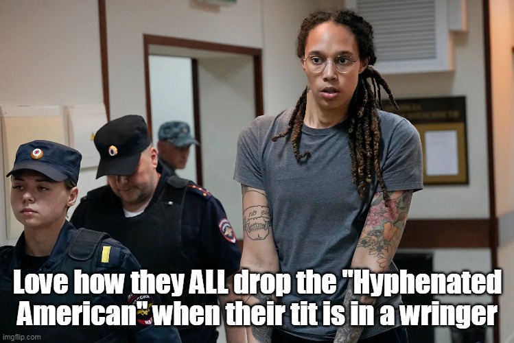 Love how they ALL drop the "Hyphenated American" when their tit is in a wringer | made w/ Imgflip meme maker