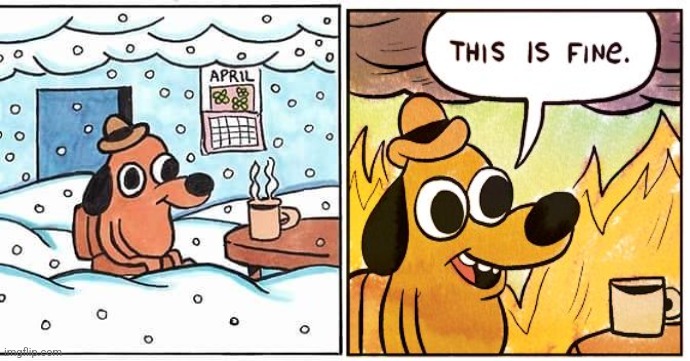 this is fine snow | image tagged in this is fine snow | made w/ Imgflip meme maker