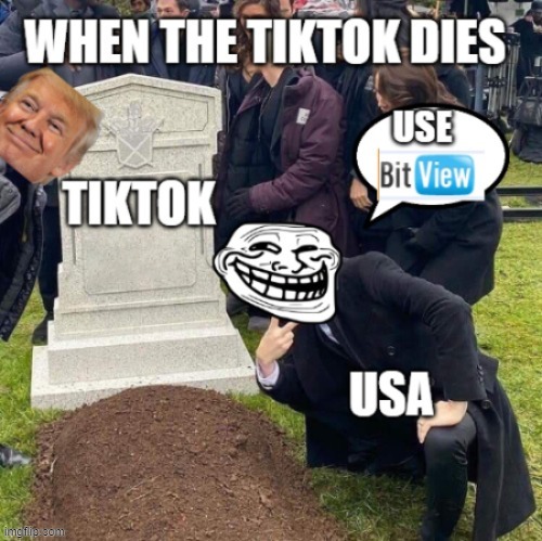 WHEN THE TIKTOK DIES | image tagged in tiktok,bitview,usa | made w/ Imgflip meme maker