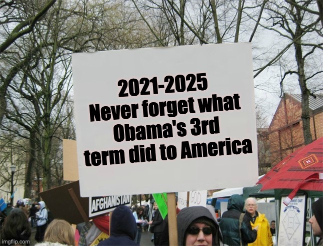 Thanks to all who took America back | 2021-2025
Never forget what Obama's 3rd term did to America | image tagged in blank protest sign | made w/ Imgflip meme maker