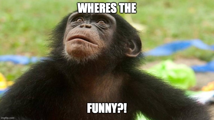 monke looking up at something | WHERES THE FUNNY?! | image tagged in monke looking up at something | made w/ Imgflip meme maker