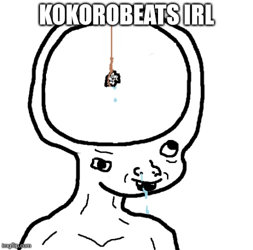 Dumb wojak | KOKOROBEATS IRL | image tagged in dumb wojak | made w/ Imgflip meme maker