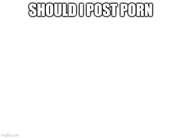 SHOULD I POST PORN | made w/ Imgflip meme maker
