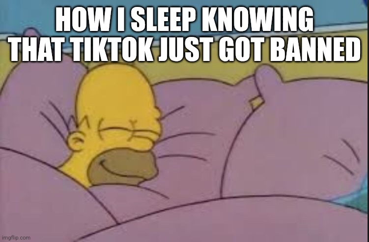 how i sleep homer simpson | HOW I SLEEP KNOWING THAT TIKTOK JUST GOT BANNED | image tagged in how i sleep homer simpson | made w/ Imgflip meme maker